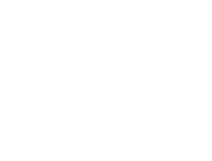 fig white logo
